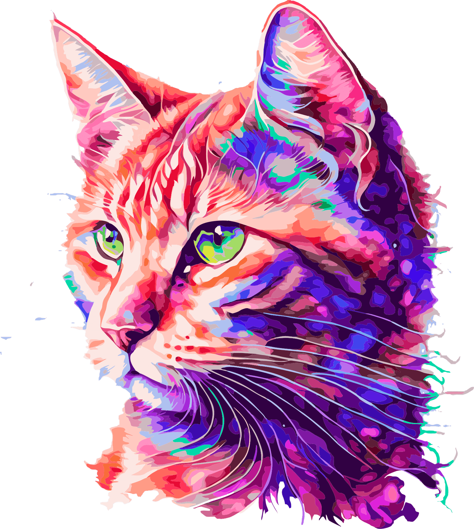 Png de chat coloré
