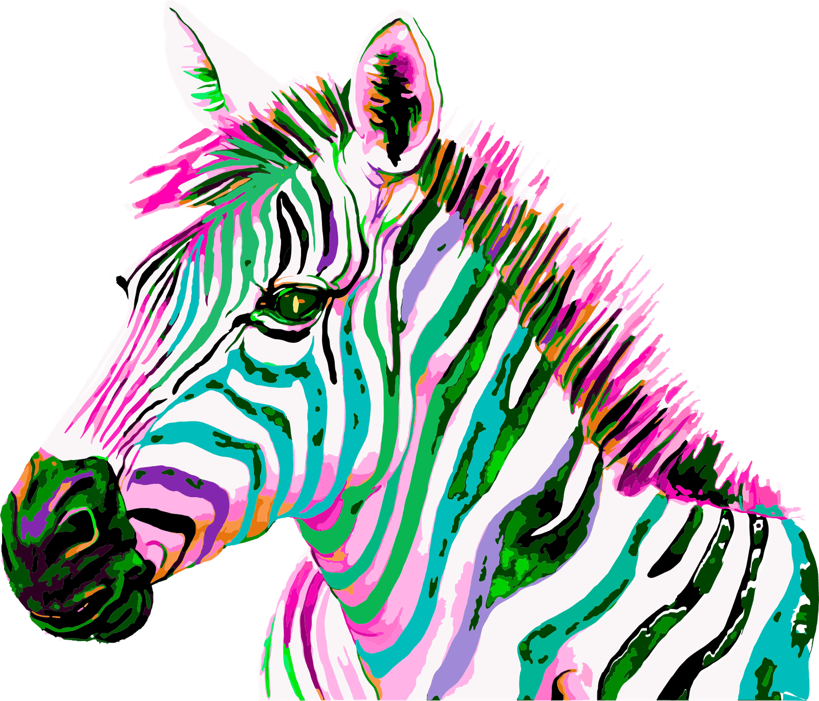 Sublimation d'un zèbre